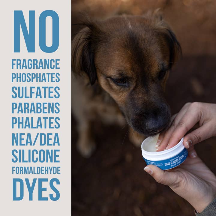 Natural Rapport - Wholesale Pet Balm - Dog - The Only Paw & Nose Balm Dogs Need2