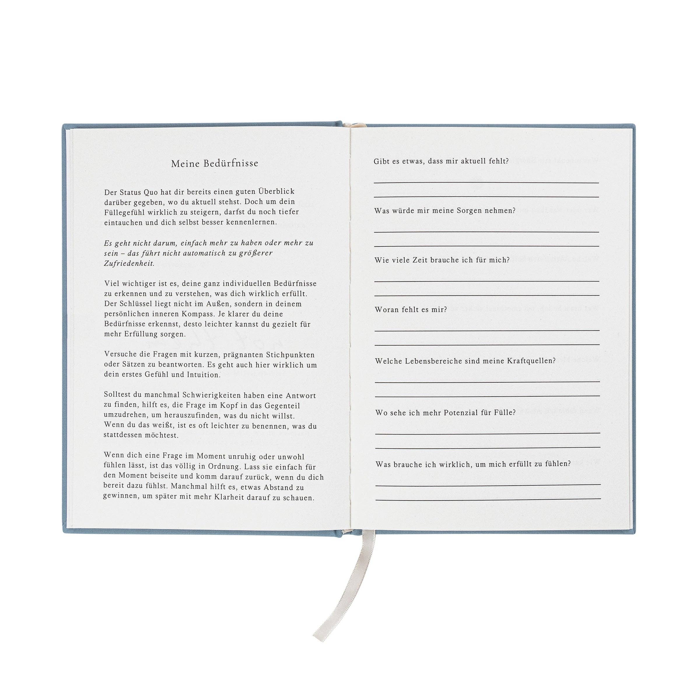 The Life Barn - Wholesale Journal Cover - THE LIFE BARN Abundance Journal light blue9