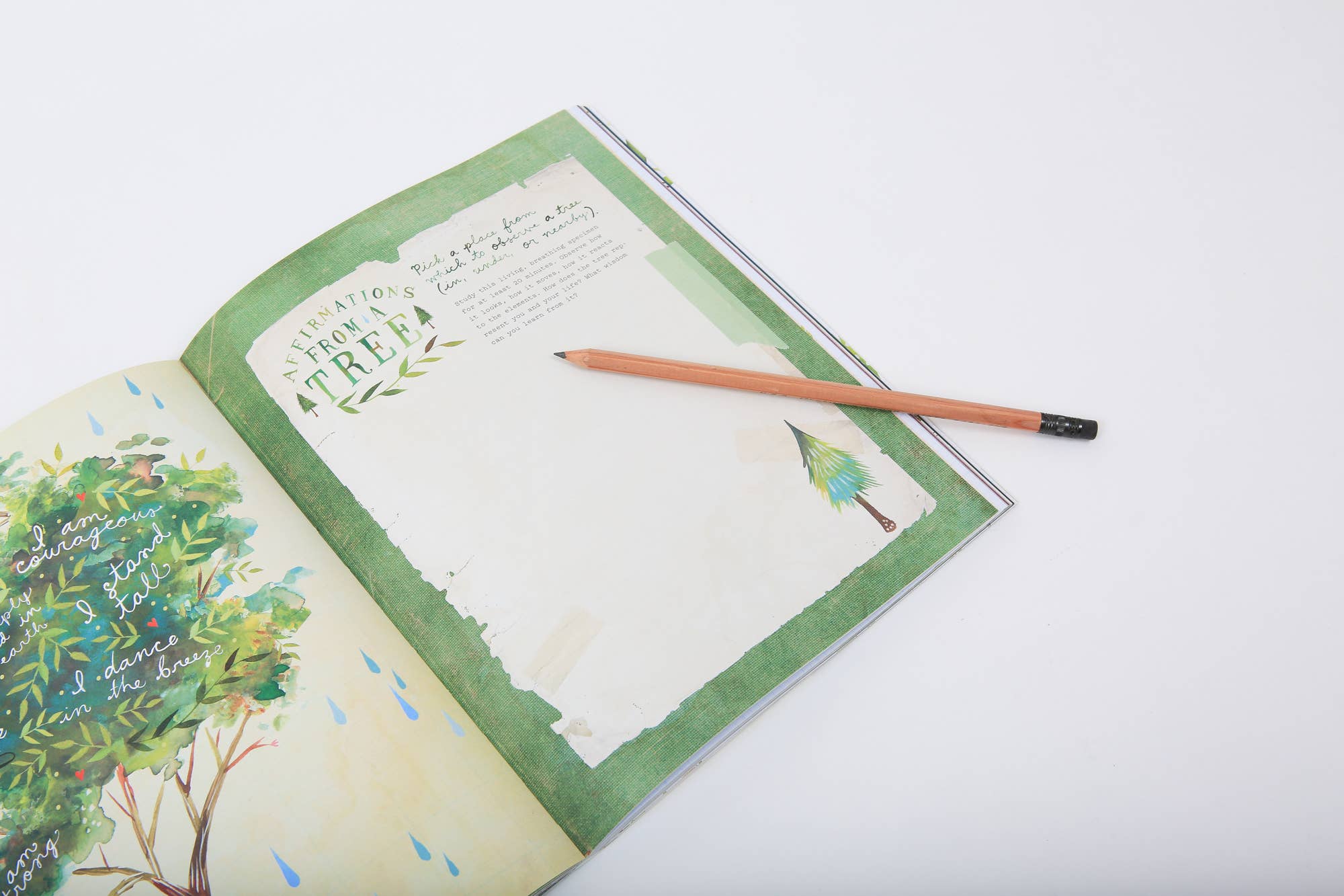 Chronicle Books - Wholesale Journal/Diary - The Wildflower's Workbook6