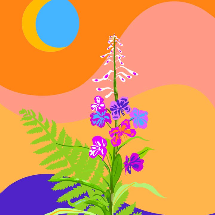 Sarah Cochran Artist - Wholesale Love Card - Hippie Fireweed Retro Card Set of Ten - Alaska Flowers2