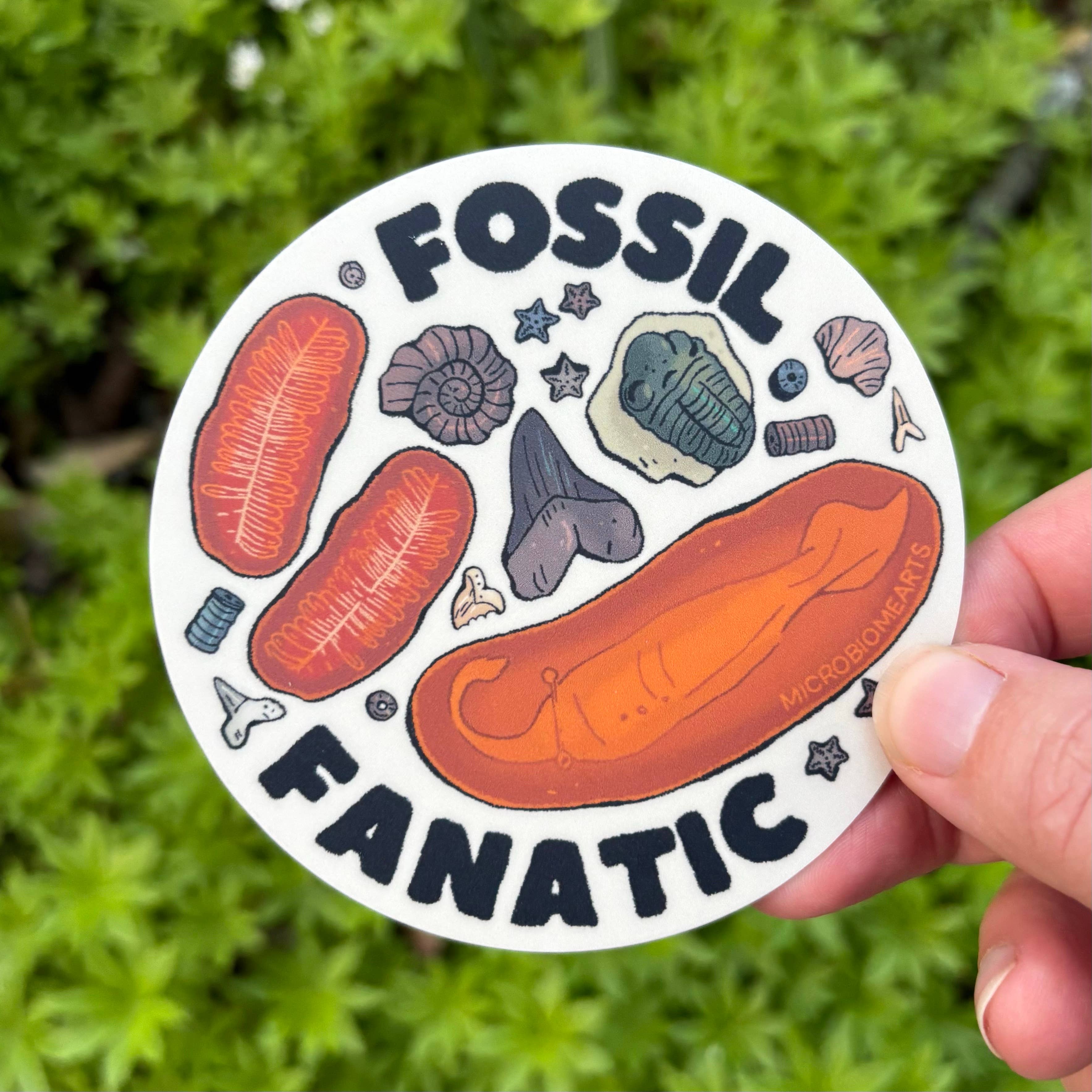Microbiome Arts - Wholesale Sticker - Fossil Fanatic 3.5” Sticker1