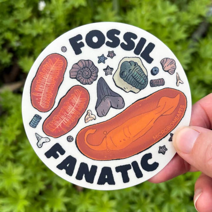 Microbiome Arts - Wholesale Sticker - Fossil Fanatic 3.5” Sticker1