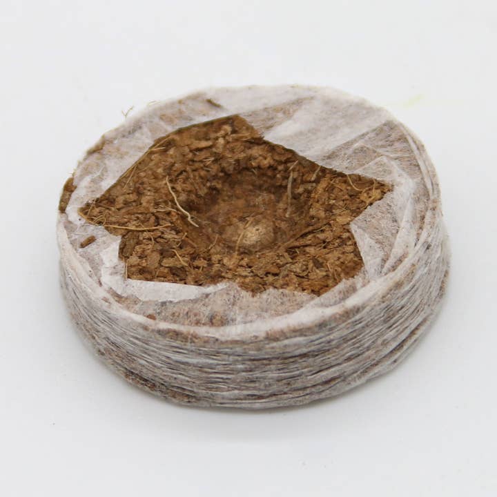CoirProducts.co.uk of Salike Limited - Vente Graines de plantes - Pièces de coco de 42 mm | Granulés de coco pour la germination0