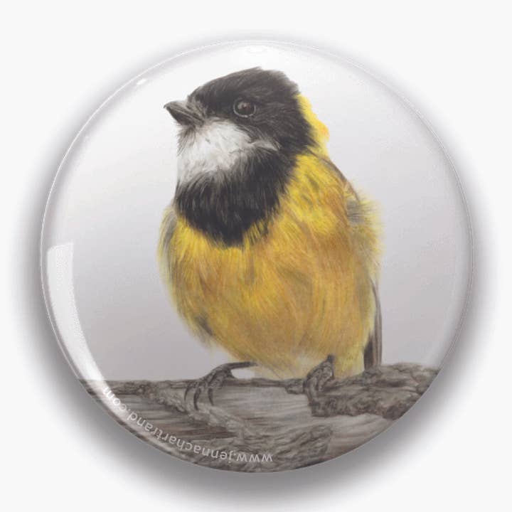 "Nothing Gold Can Stay" Golden Whistler 44mm Round Magnet for wholesale by Jenna Chartrand Coloured Pencil Fine Artist