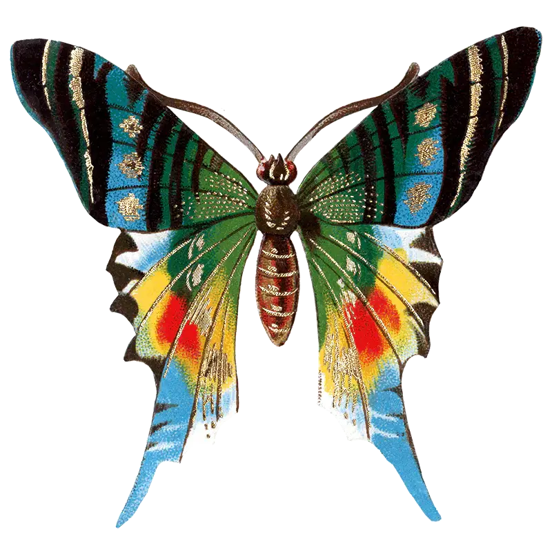 Laughing Elephant – Großhandel Aufkleber – Butterfly Box — Stickerbox für den täglichen Gebrauch28