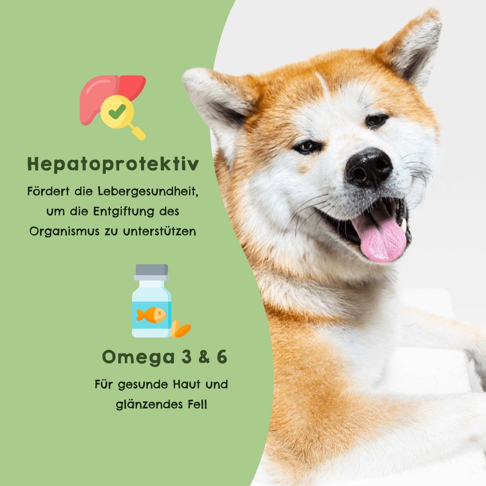 HAPPY JACKY - Wholesale Pet Food - Dog - HAPPY JACKY | sensitive premium dry food for small dogs | gluten-free | without preservatives | sugar-free | specially developed for small dogs3