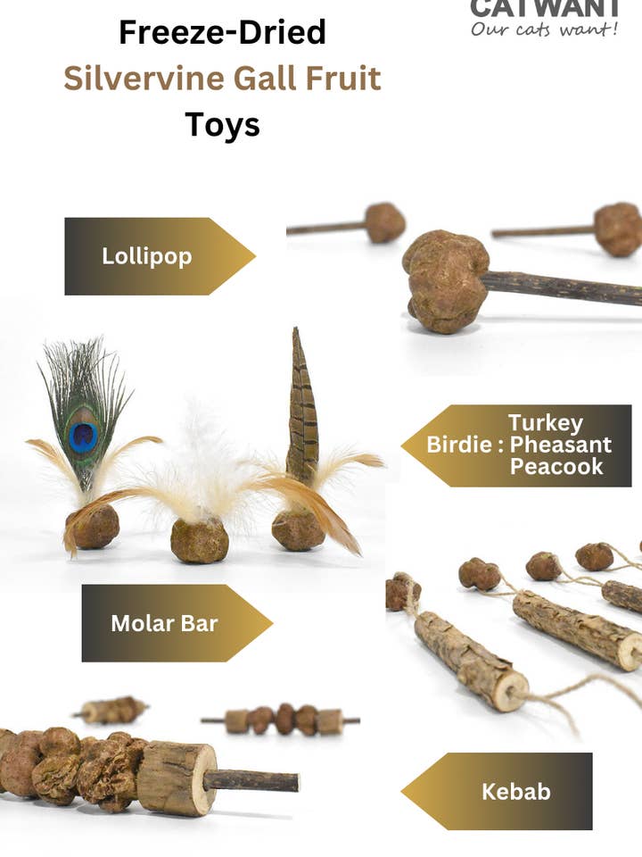 Freeze Dried Silvervine Gall Fruit Toys for wholesale by CATWANT