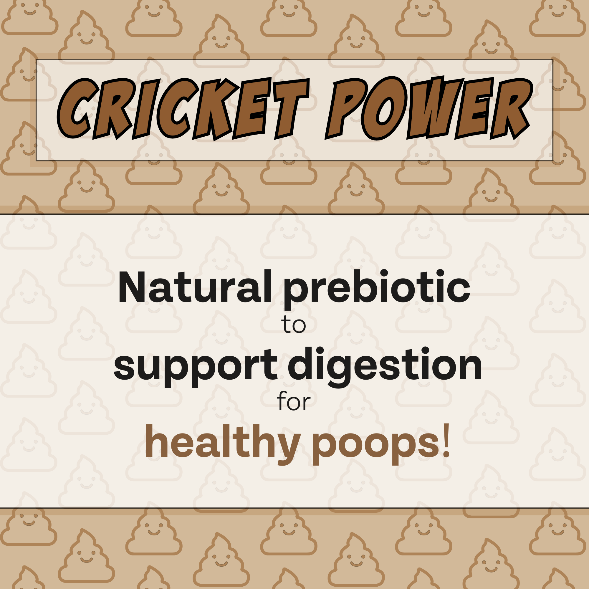 Chippin - Wholesale Pet Treats - Dog - Superfood Gut-Health Peanut Butter Cricket Pumpkin Treats3
