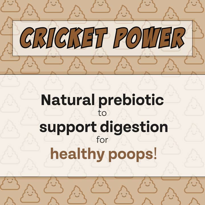 Chippin - Wholesale Pet Treats - Dog - Superfood Gut-Health Peanut Butter Cricket Pumpkin Treats3