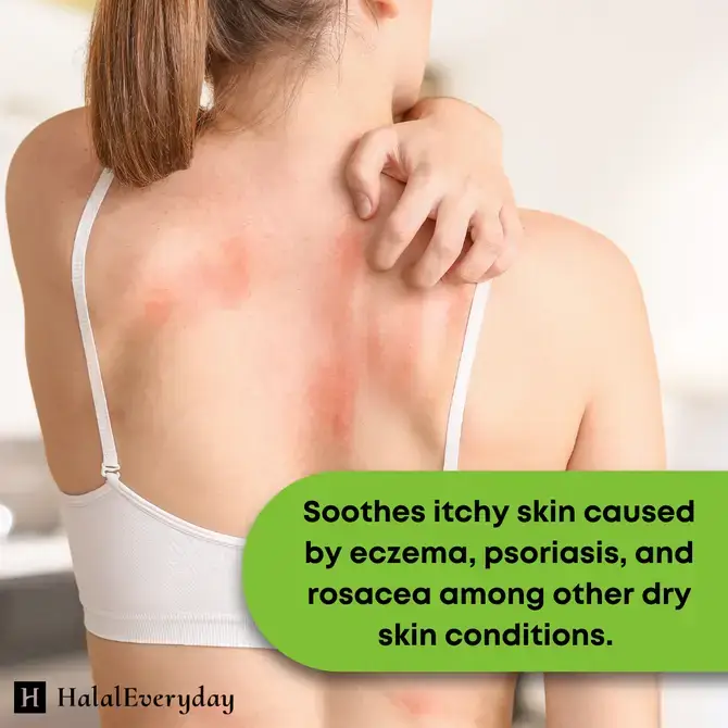 HalalEveryDay - Vente Baume/beurre pour le corps - Beurre d'aloe vera5