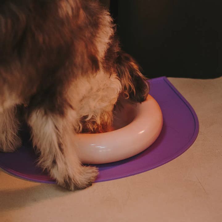 HotDog Pets - Wholesale Pet Bowl - Cat/Dog - Pink ceramic dog feeder9