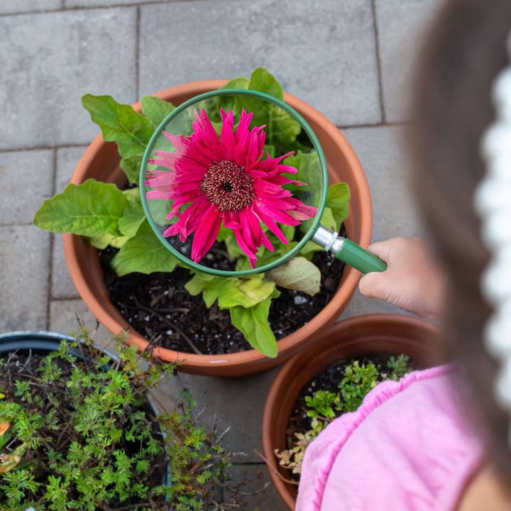 Carson - Wholesale Sporting Game - Kids & Baby - Oversized Handheld 2x Magnifying Glass- STEM Tool for Kids1