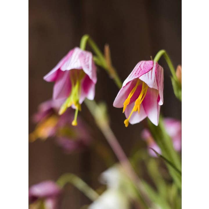 Rustic Reach - Wholesale Artificial Flowers - Silk Fritillaries Lily Flower Stem in Pink or Purple 26" Tal