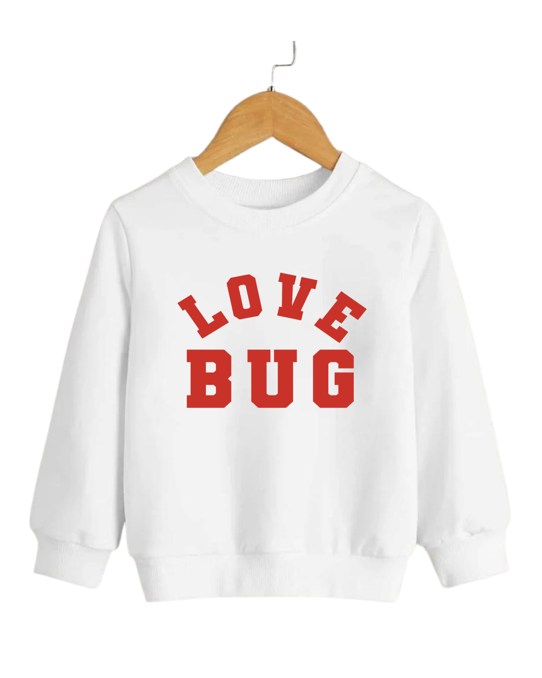 SBG Co. - Wholesale Sweatshirt - Kids - Love Bug Pullover2