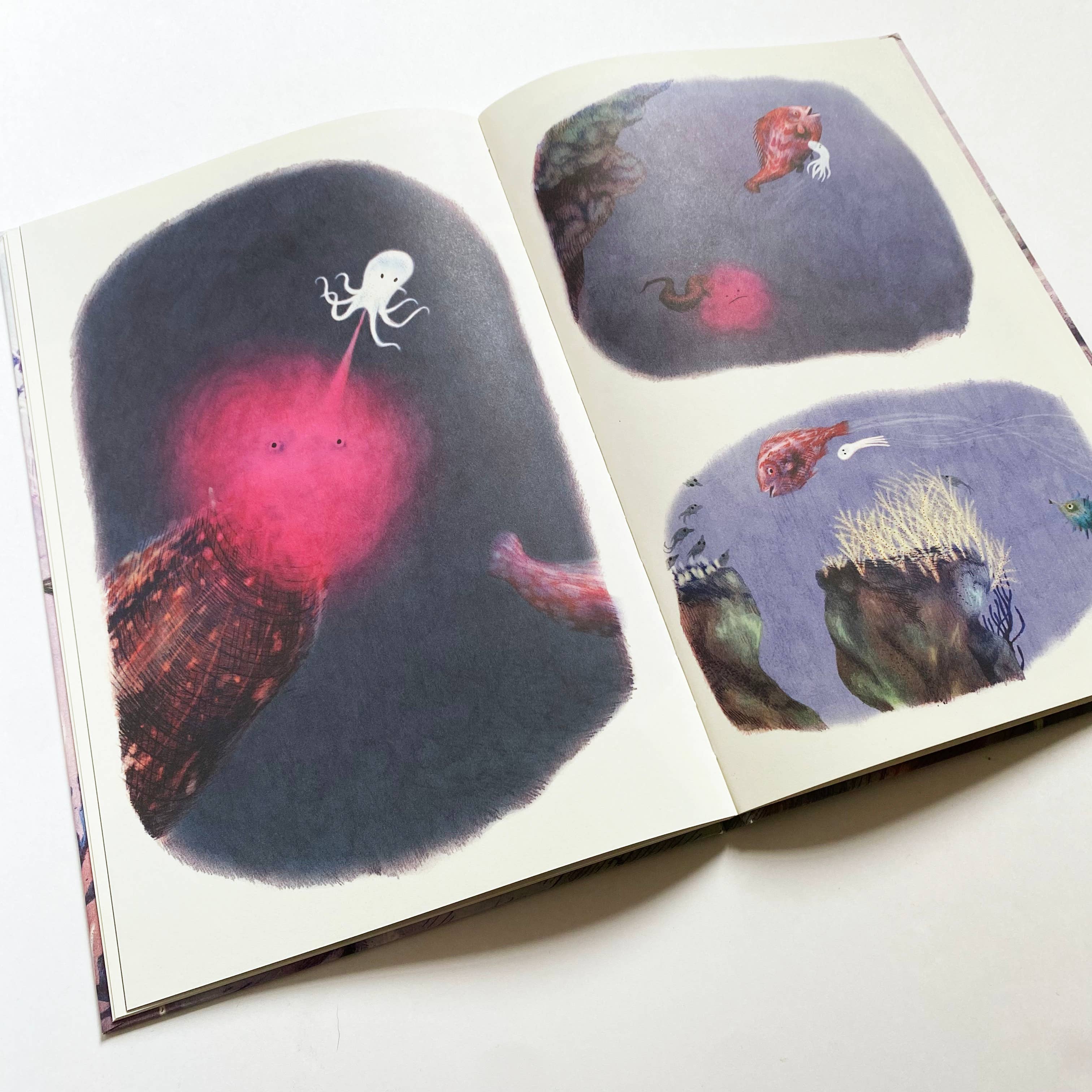 La Partie - Vente Livre pour enfants de maternelle (de 3 à 5 ans) - Tom Poulpe / Océan / Aventure / Profondeurs sous-marine6