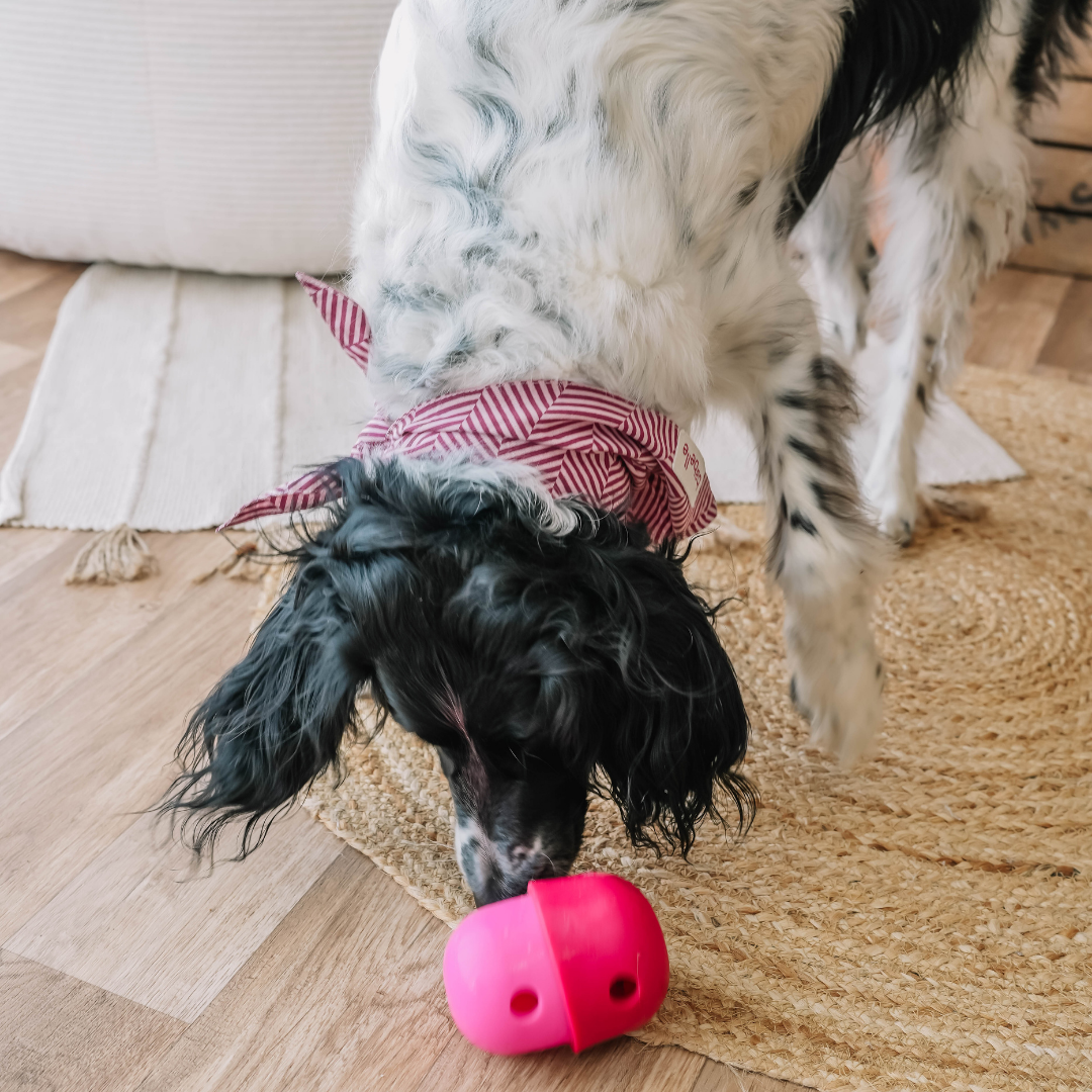 Babelle For Dogs - Wholesale Speeltje - Hond - De Fun Feeder - Snackdispenser - Lik speeltje15