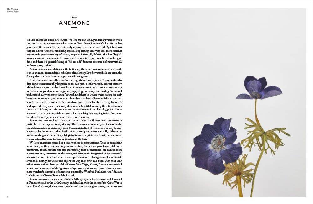 Abrams - Wholesale Crafts, Hobbies & DIY - The Modern Flower Press1