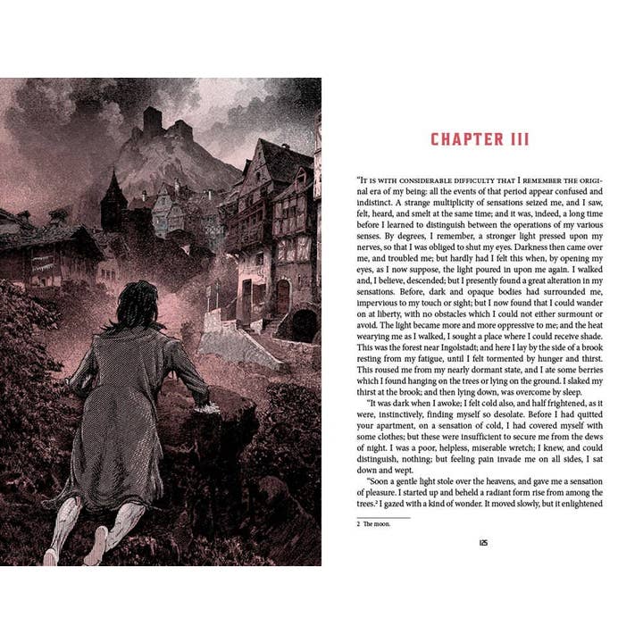 Hachette Book Group - Wholesale Classics - Frankenstein (Deluxe Edition) by Mary Shelley9