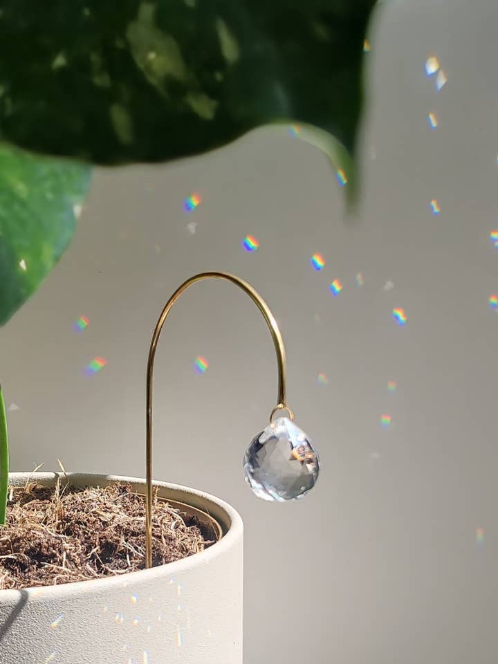 DROP • Apanhador de luz em latão e cristal para plantas por atacado de Atelier Intuitive
