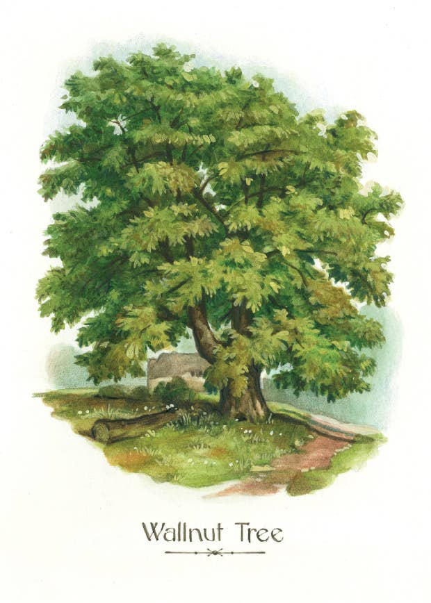 Bomo Art Budapest - Wholesale Everyday Greeting Card - Greeting Card + Envelope17