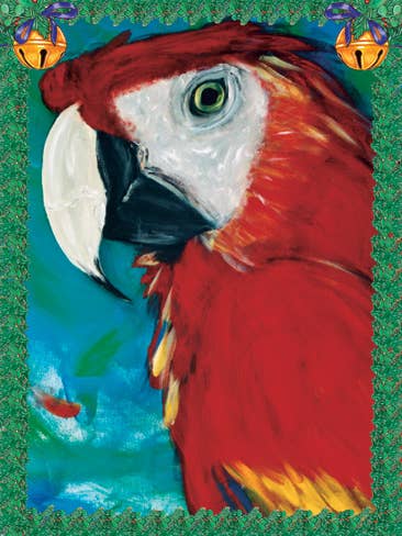 Parrot Macaw Portrait Christmas Cards Pack of 10 for wholesale by Pipsqueak Productions