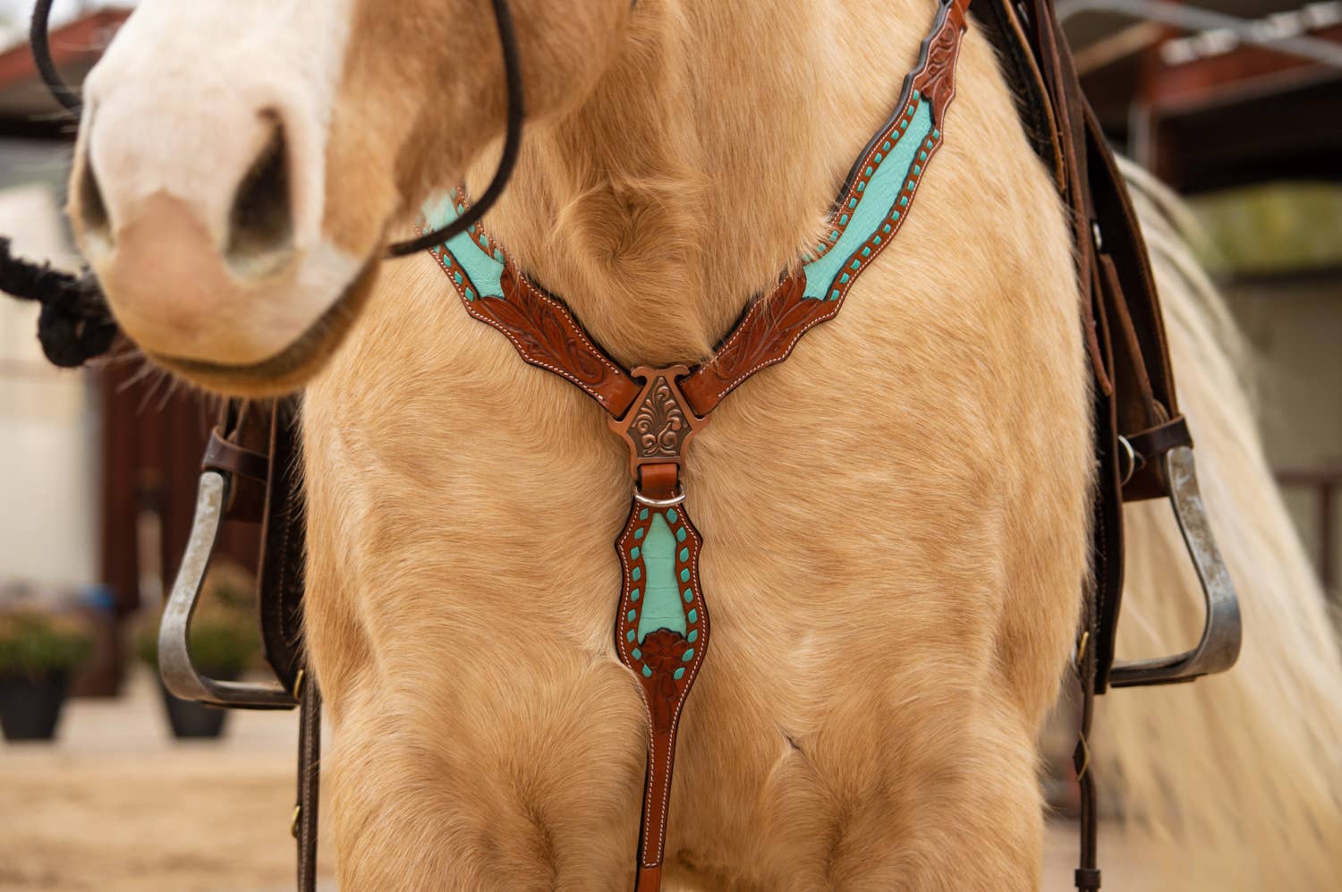 Schulz Equine - Wholesale Horseback Riding Gear - Bonanza Headstall and Breast Collar Set3