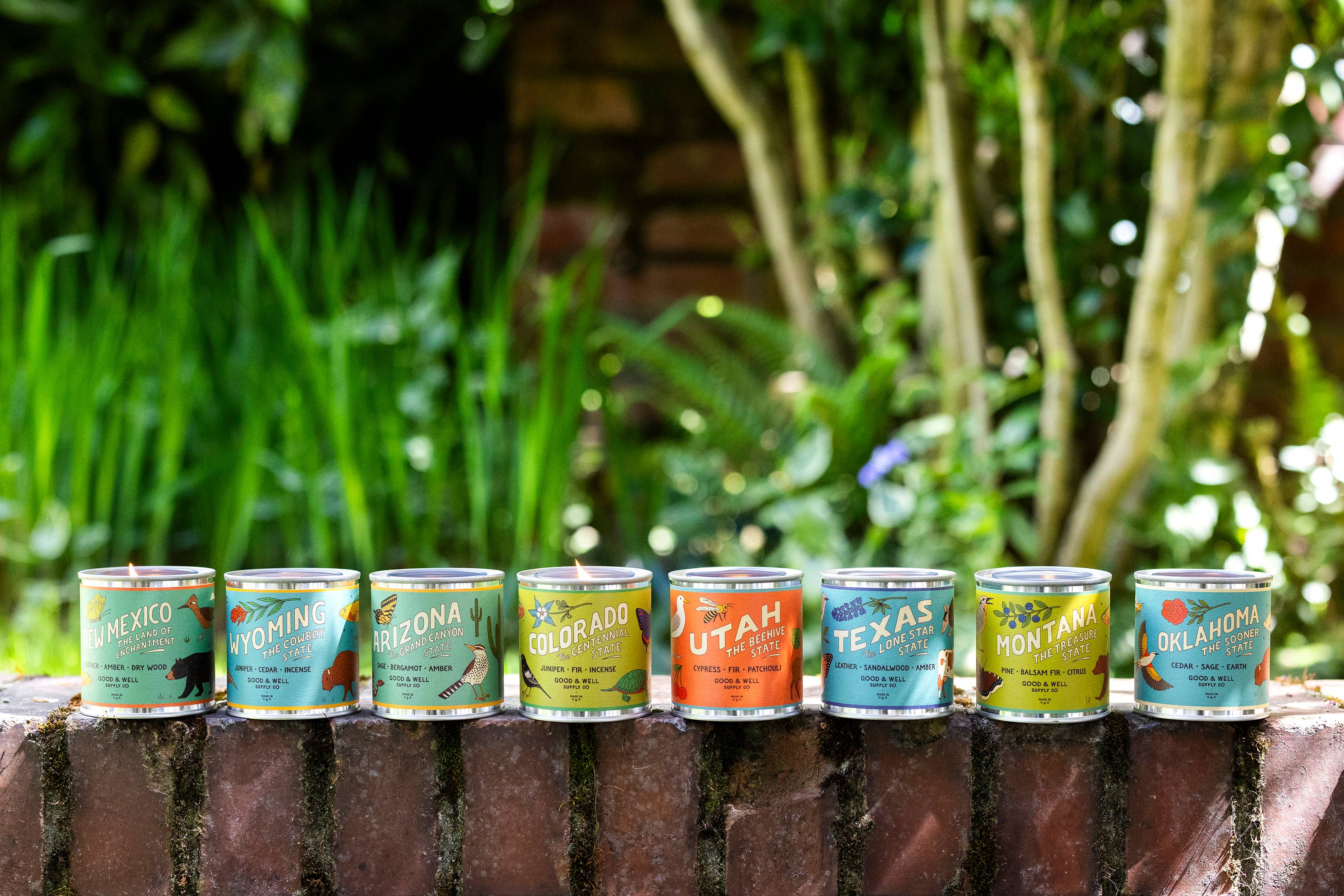 Good & Well Supply Co. – Vela em jarro/copo por atacado – Vela de Soja do Estado do Arizona3