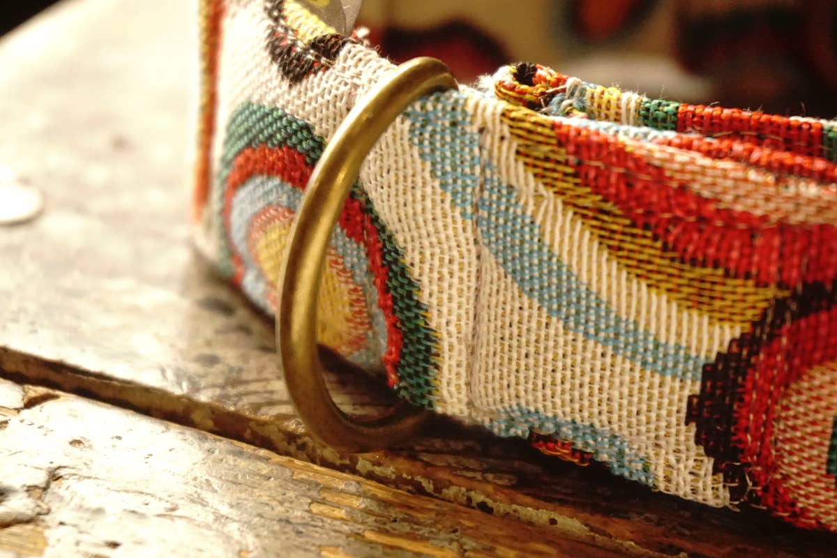 hundsfutter - Wholesale Pet Collar - Dog - Wide collar Jimmy3