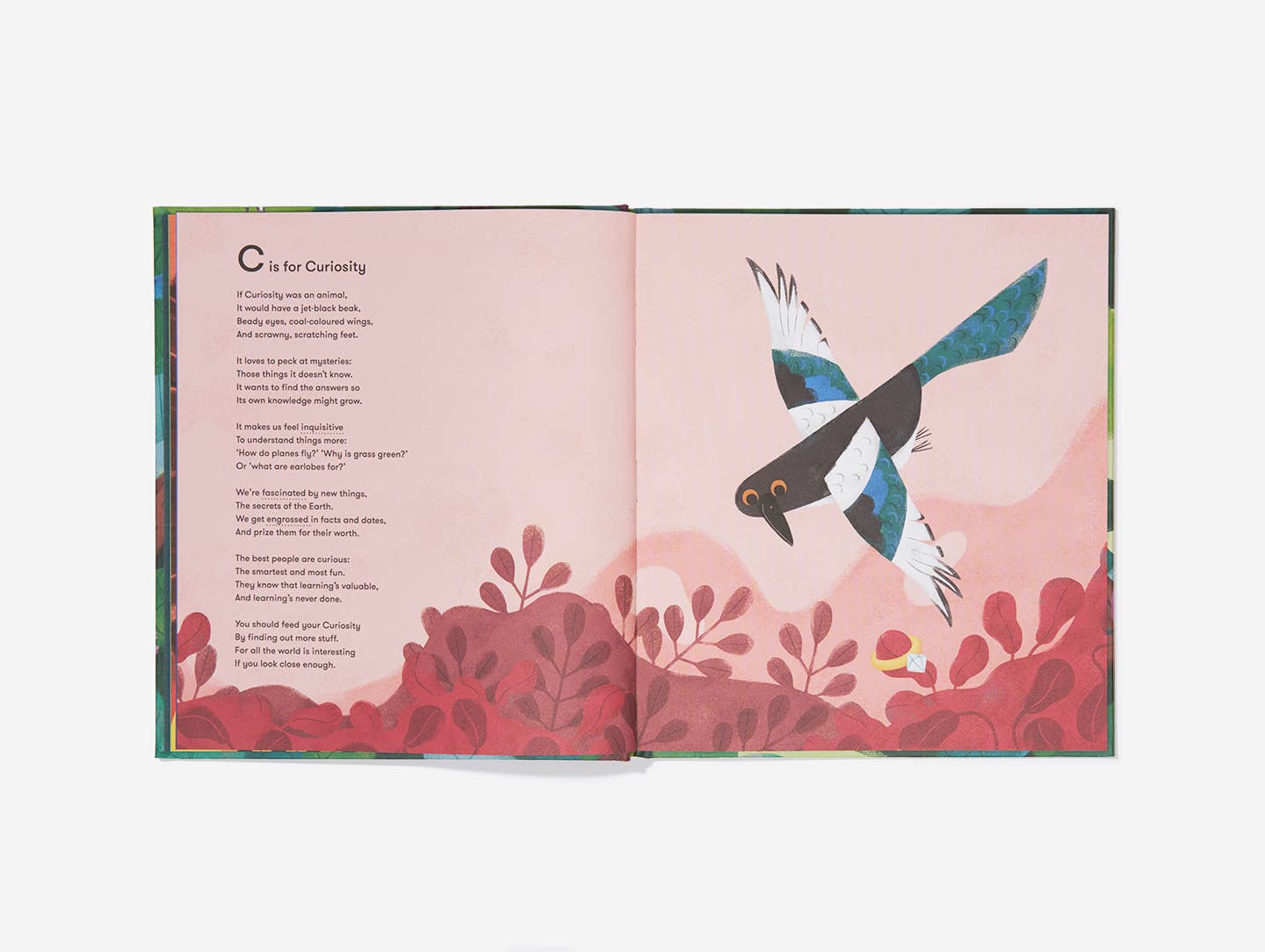 The School of Life - Wholesale Preschool Book (3-5) - An Emotional Menagerie, Kids Emotions Guide Book2