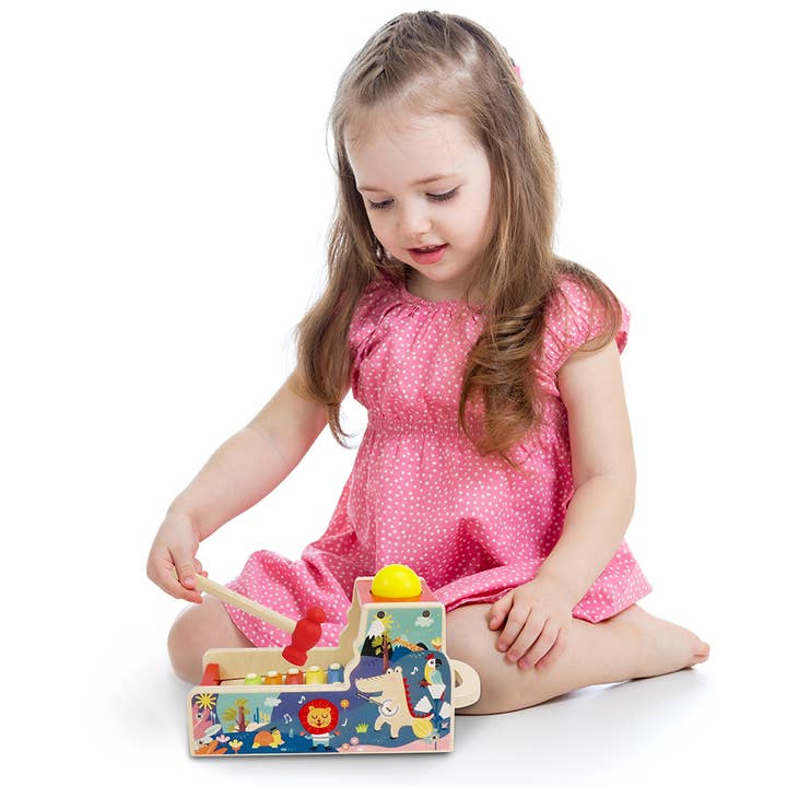 Leo & Friends - Wholesale Musical Toy - Kids & Baby - Leo & Friends Pound & Tap Xylophone with Slide-Out Xylophone15