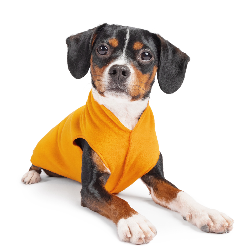 Gold Paw Series – wholesale Pet coat – Dog – Stretch Fleece Sizes 14-304