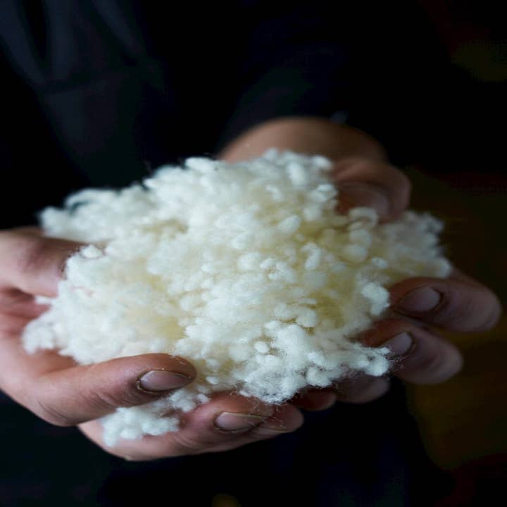 British Romney Fleece Stuffing for wholesale by Romney Marsh Wools