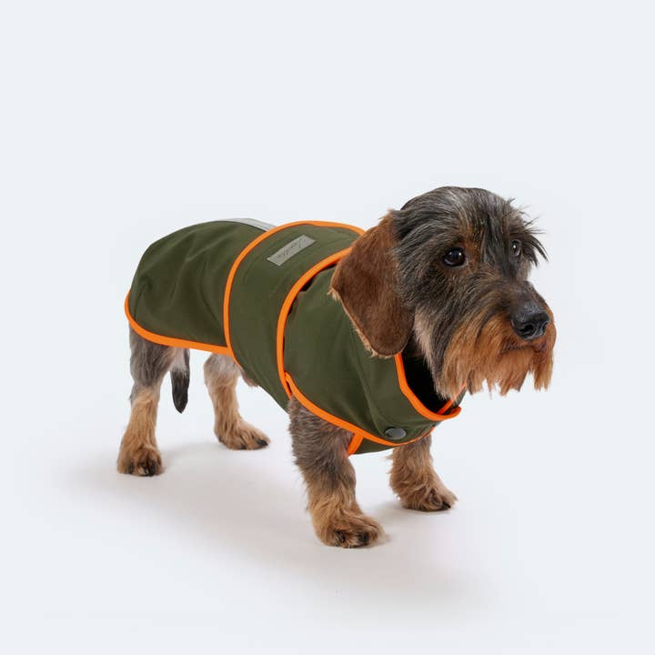 Manteau en softshell fait main pour chien teckel pour la vente par Leopold's Finest for dogs