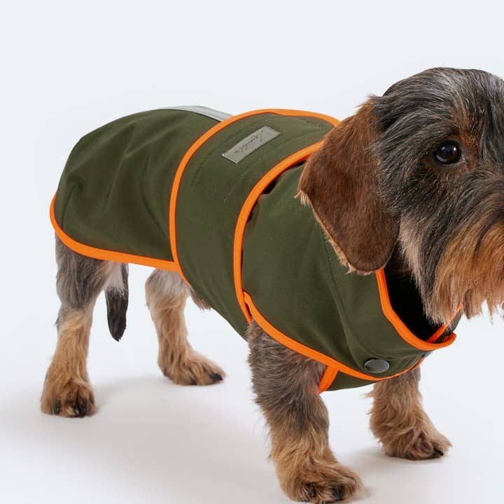 Handgemaakte softshell jas voor teckels voor wholesale door Leopold's Finest for dogs