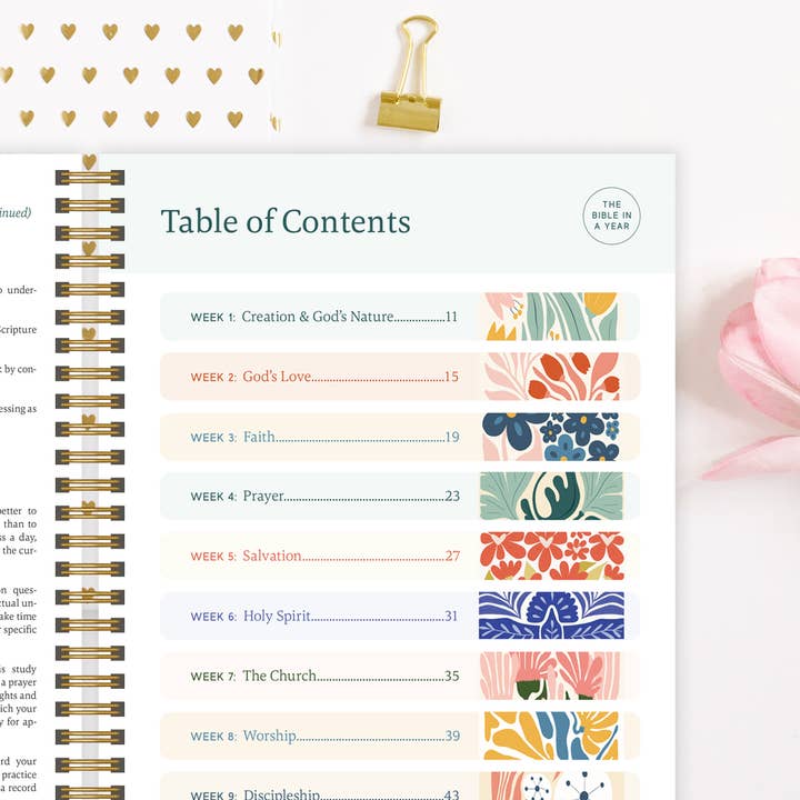 Spiral Bible - Wholesale Religion - The Bible In A Year: A 52-Week Study1