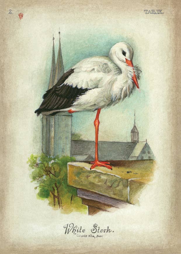 Bomo Art Budapest - Wholesale Everyday Greeting Card - Greeting Card + Envelope57