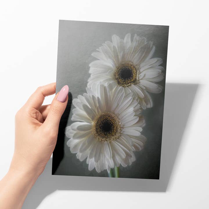 Sheryl’s Virtual Garden - Wholesale Everyday Greeting Card - Dreamy Daisies Single 5x7 Gerbera Daisy Greeting Card1