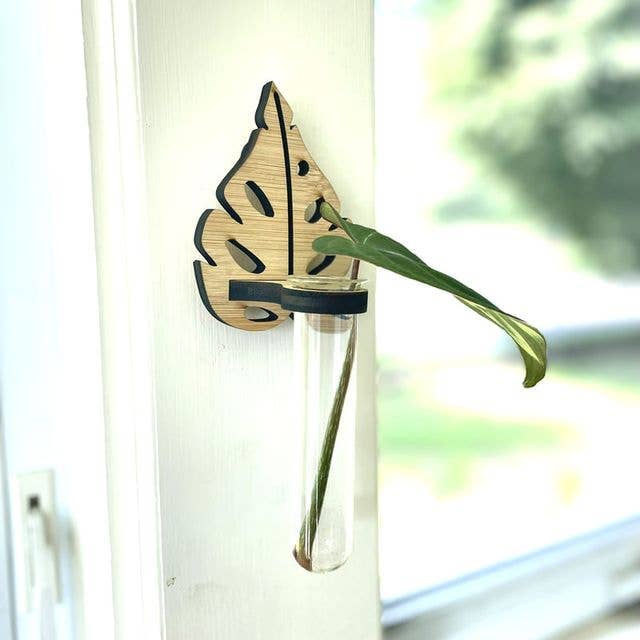 Wall Propagation Design Vases - Alpha Leaf for wholesale by Floratrel