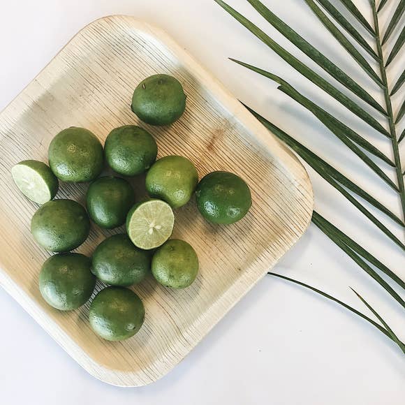 Dryleaf - Wholesale Dinner Plate -  Square Plate1