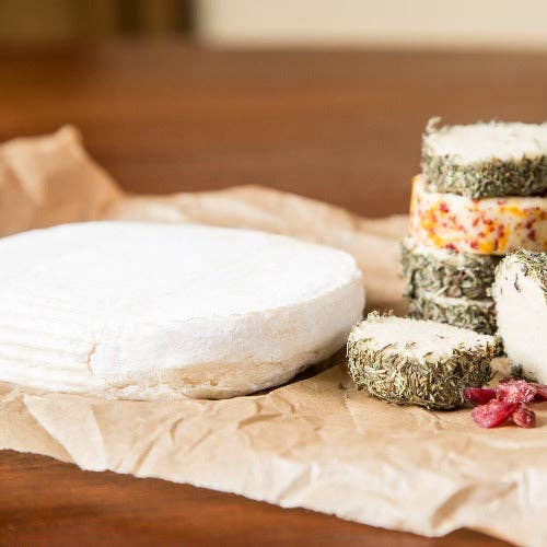 Urban Cheesecraft - Wholesale DIY Food Kit - Vegan Cheesemaking Kit - Make Cheddar, Mozzarella & Brie