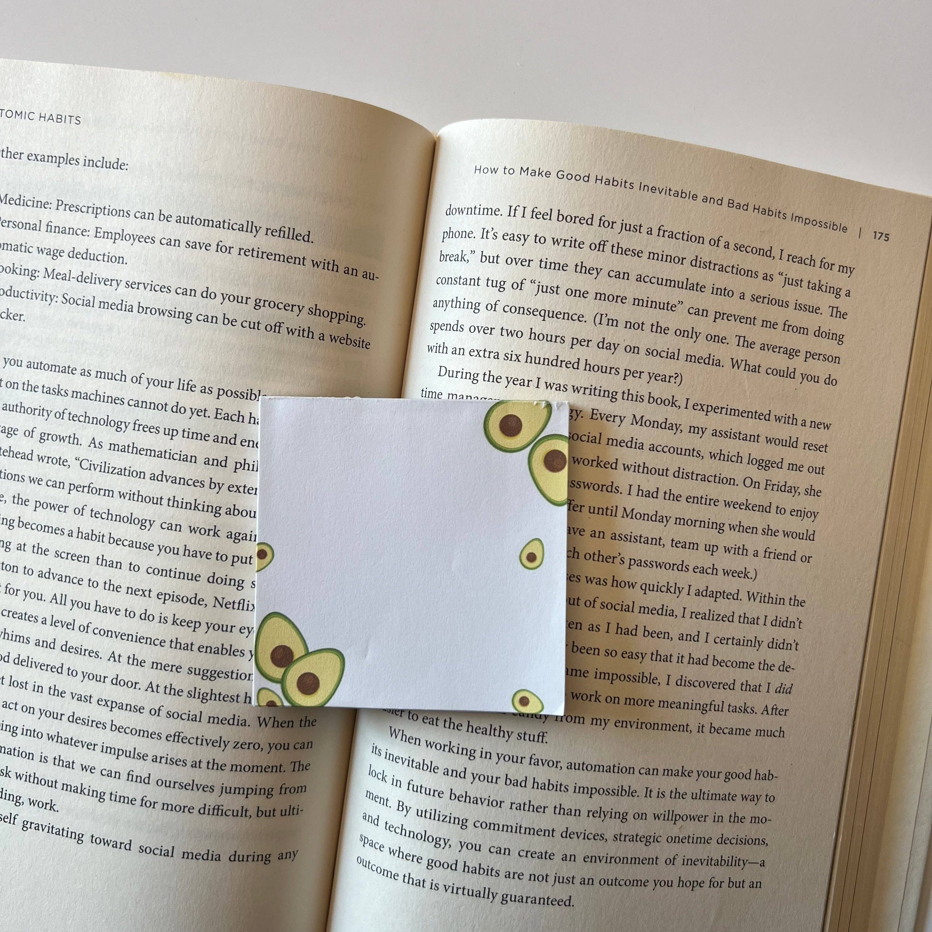 Amanda Alvelo - Wholesale Notepad - Aguacate Notepad0