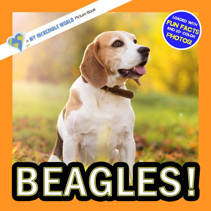 Beagle! Un incredibile libro illustrato sul mondo per bambini per la vendita all'ingrosso da parte di My Incredible World