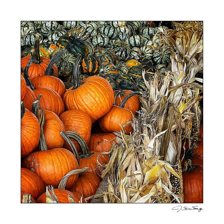 Fall Farmers Market for wholesale by Signature Image Gallery