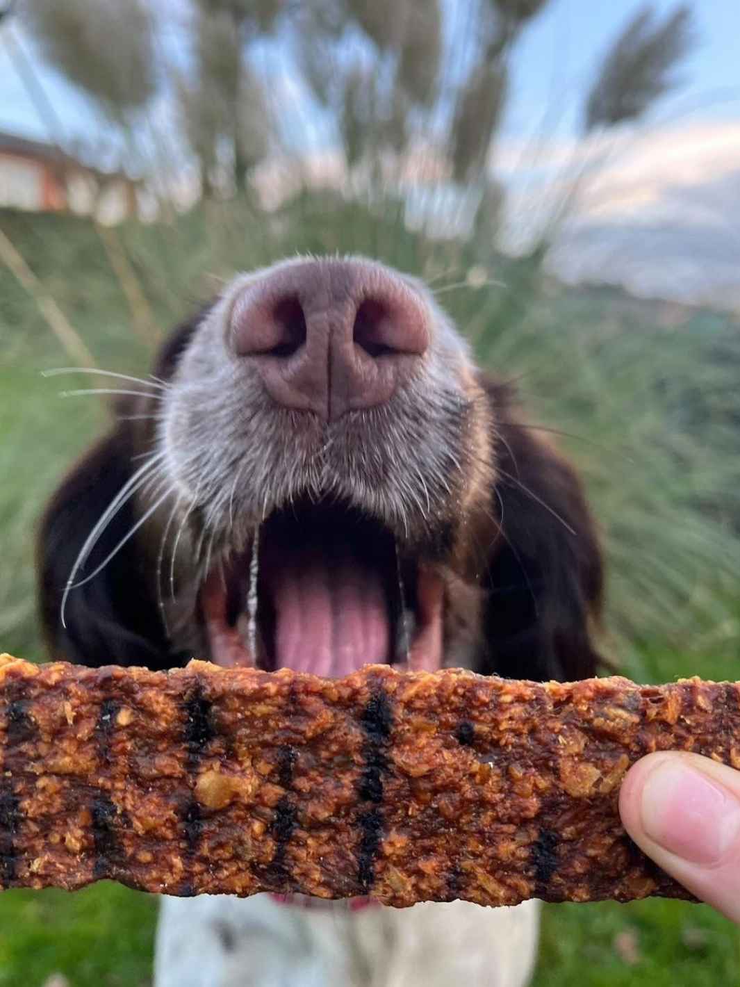 Truffe Délice - Wholesale Pet Treats - Dog - Duck sticks1