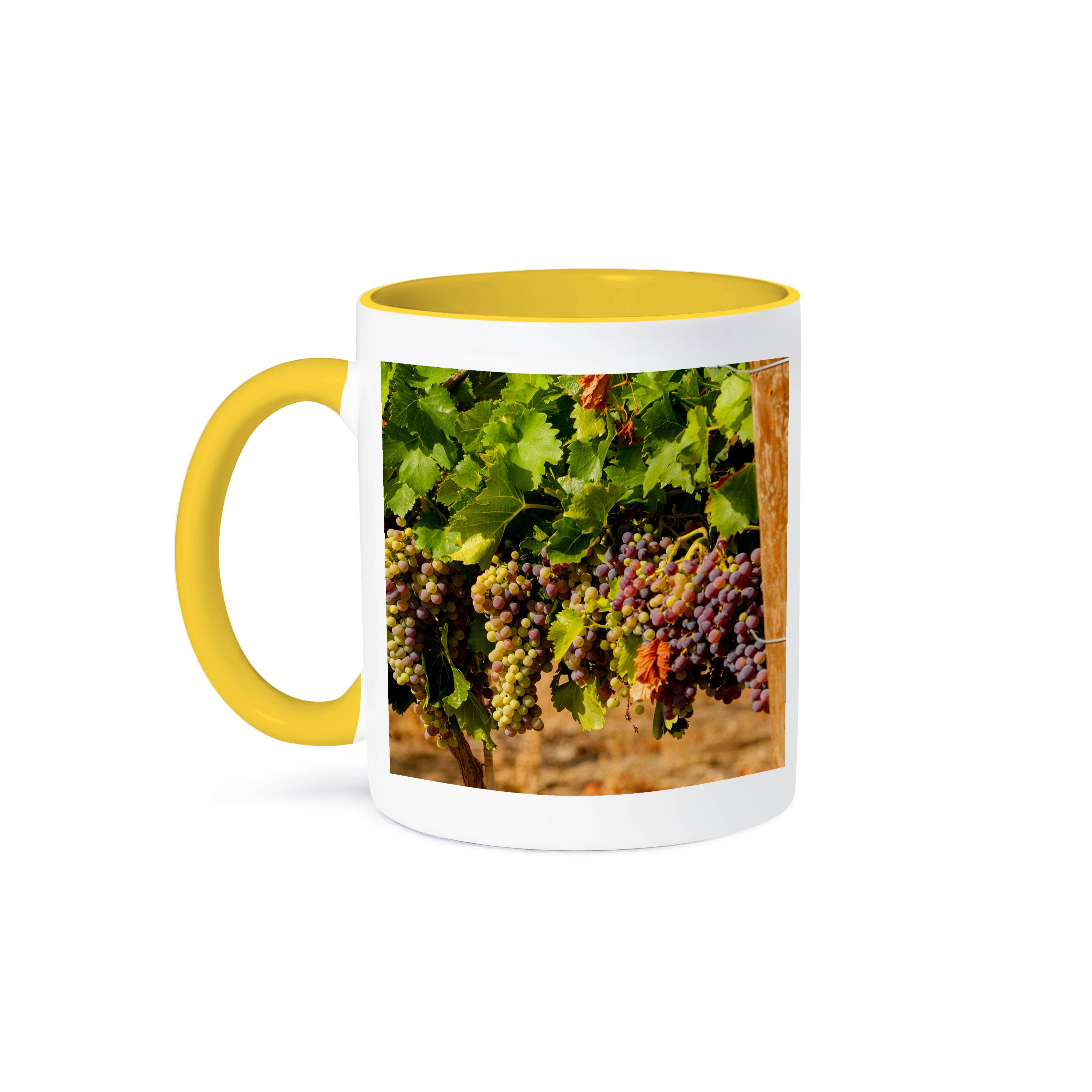 3dRose - Wholesale Coffee Mug - 3dRose, Usa, Washington, Yakima Valley. Wine grapes in veraison., Mug0