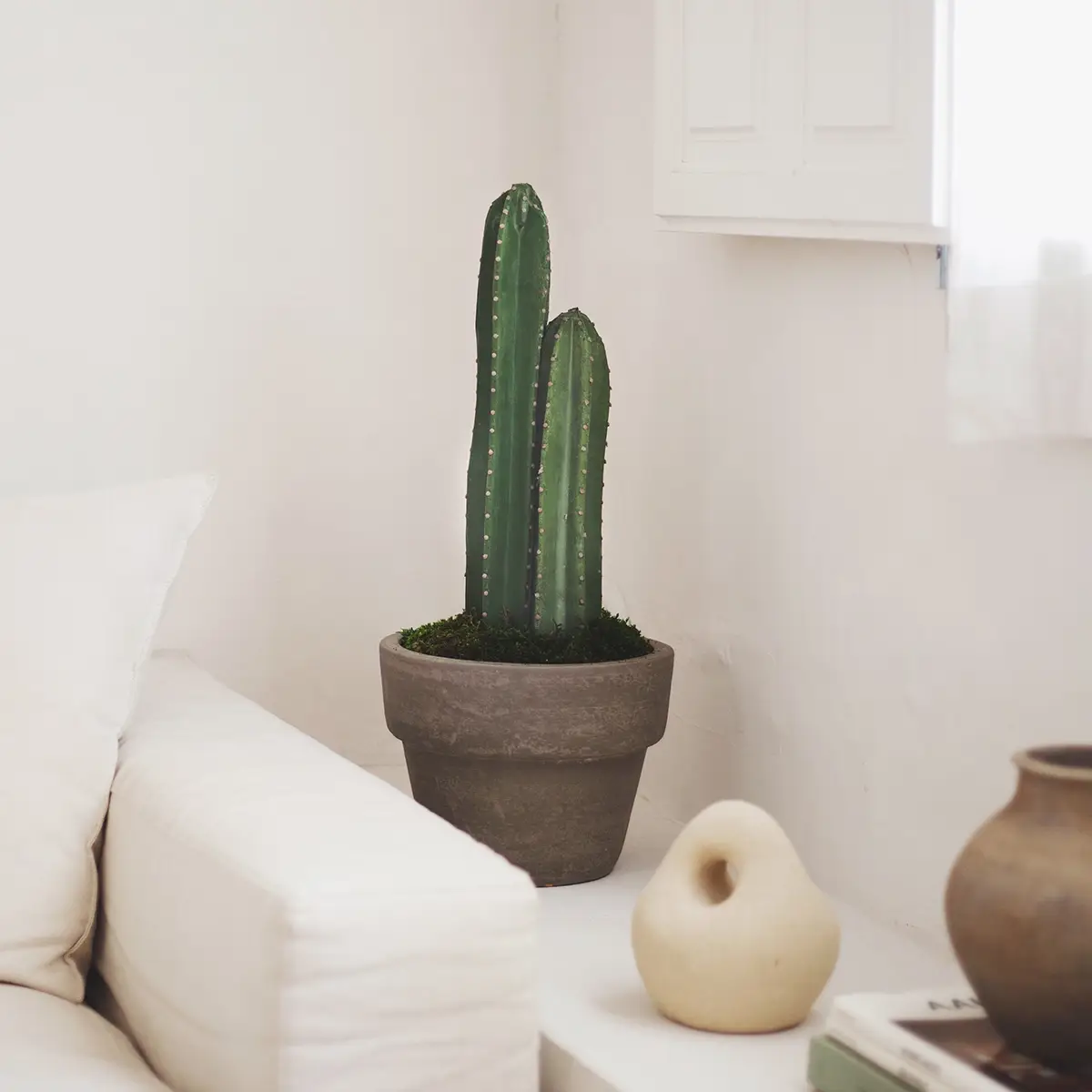 Maia Shop: No Duties for the US - Wholesale Artificial Plant - 2.5' Cactus Artificial Plant0