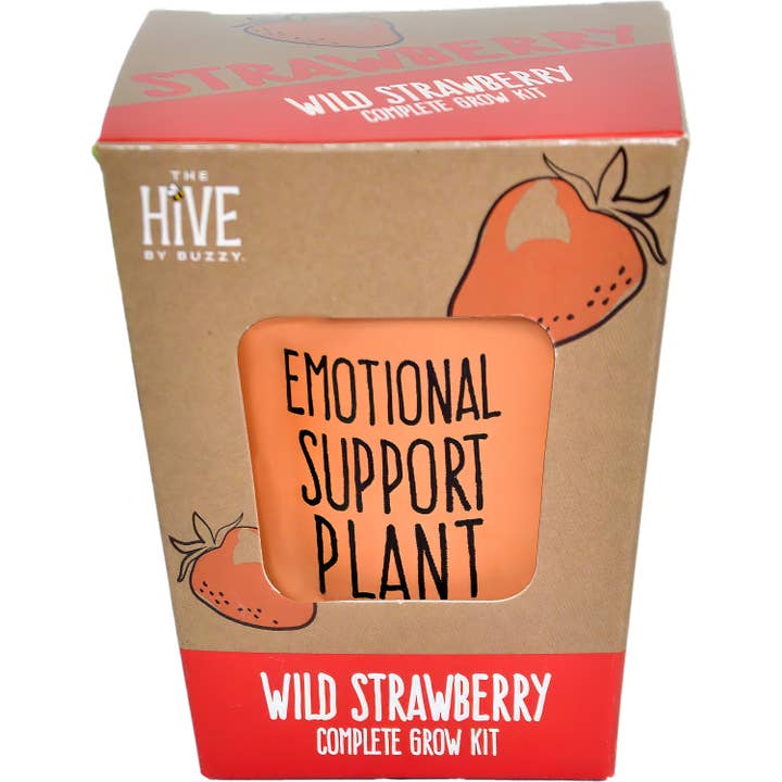 Buzzy, Inc. - Wholesale Plant Seeds - Inspirational Grow Kit - Wild Strawberry EXCLUSIVE