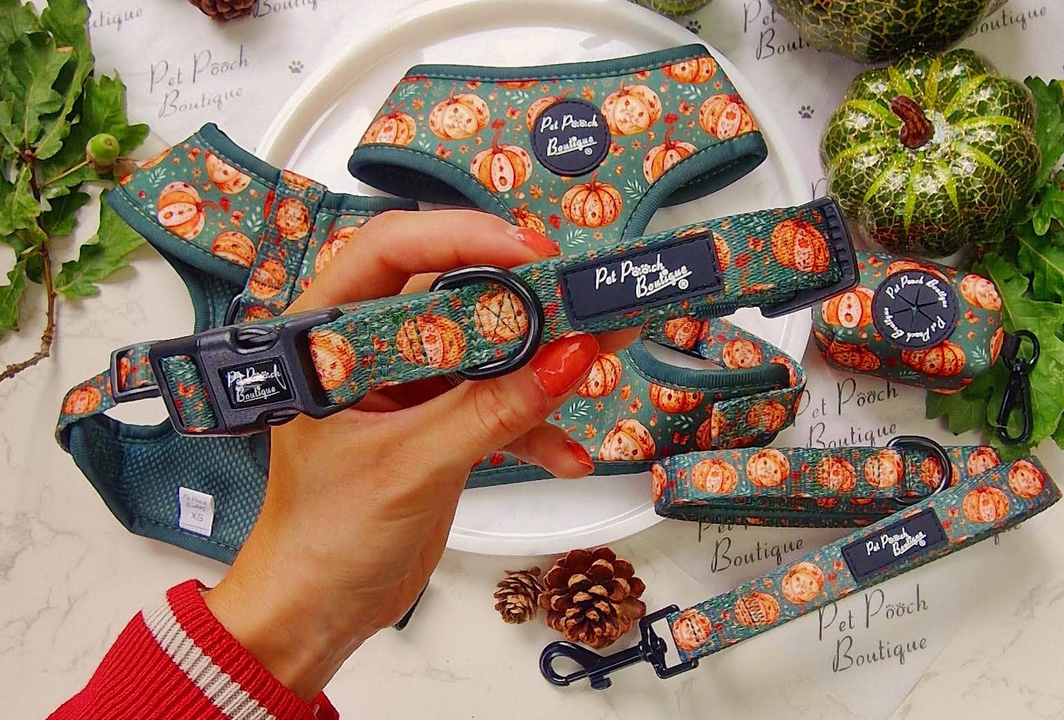 Pet Pooch Boutique - Wholesale Pet collar – Dog - Harvest Pumpkin Patch Dog Collar - Size XS-L (autumn)