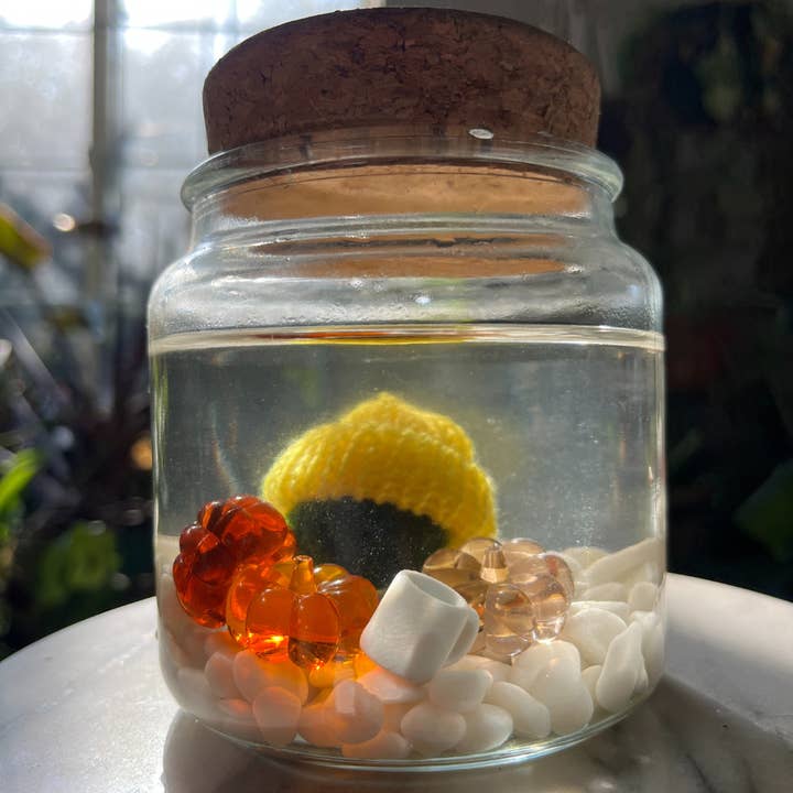 Moss Amigos | Moss Ball Terrariums - Wholesale Decorative Figurine - Moss Mugs6