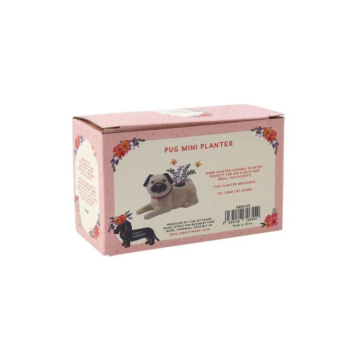 CGB Giftware - Wholesale Plant Pot - Floral Prints Pug Mini Planter3